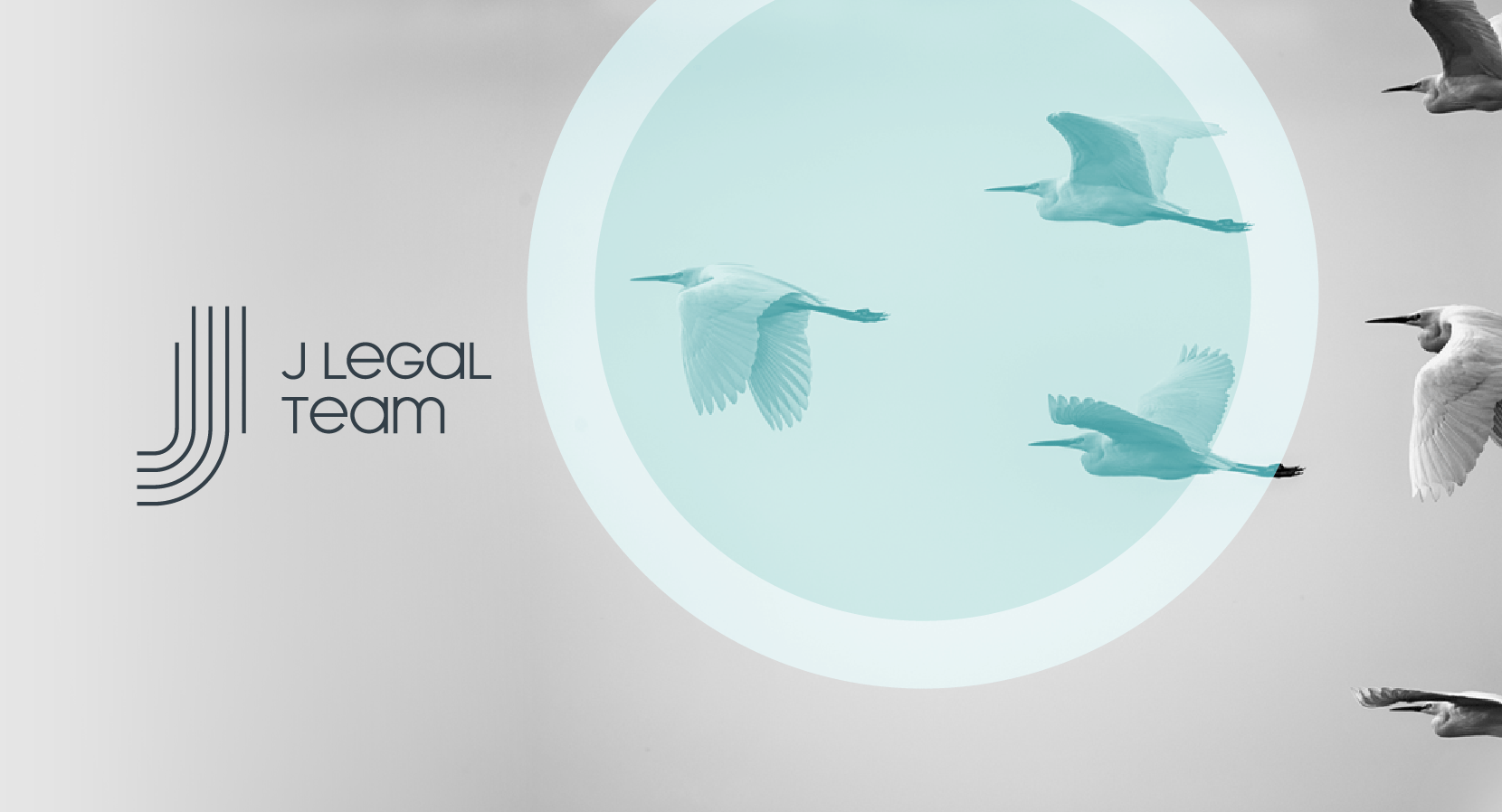Imagem preto e branca, com garças voando. Logo de J Legal Team ao lado